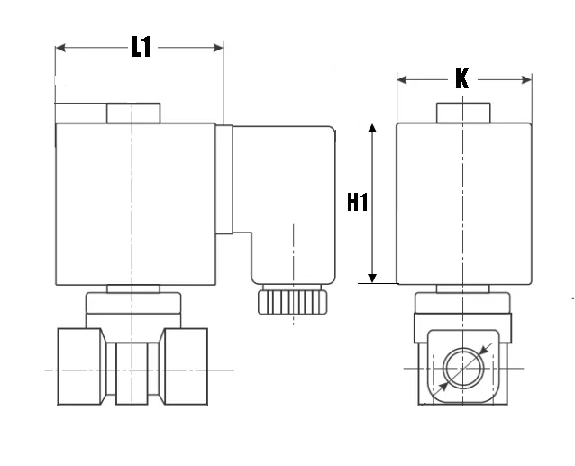 Клапан электромагнитный соленоидный двухходовой миниатюрный DN.ru-DHSM31-S прямого действия (НЗ) Ду15-10.0 (1/2 дюйм), Ру1 корпус - сталь 316, уплотнение VITON, резьба G, с катушкой S91B 220В