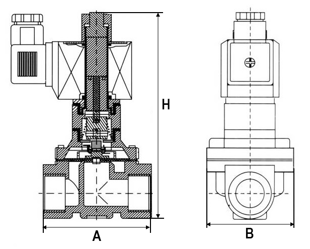 Клапаны электромагнитные соленоидные двухходовые DN.ru-DW21-NO-S прямого действия (НО) Ду10-50 (3/8-2 дюйм) Ру10, корпус - сталь 304, уплотнение - EPDM, резьба G, с катушкой SD01B 220В
